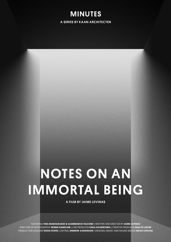 poster for notes on an immortal being